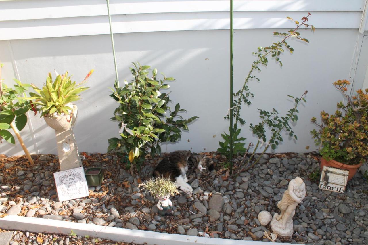 Brockies B N B Bed & Breakfast Rawene ภายนอก รูปภาพ