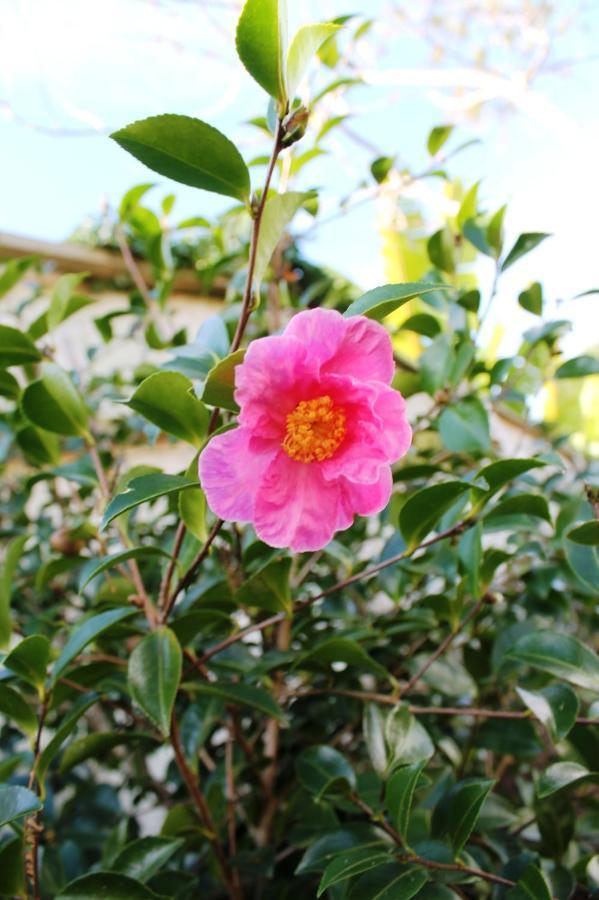 Brockies B N B Bed & Breakfast Rawene ภายนอก รูปภาพ
